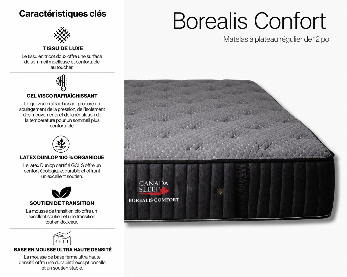 Matelas Latex à plateau régulier de 12 po - Semi-Ferme