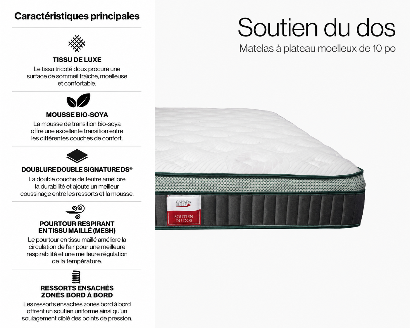 Matelas ressorts ensachés à plateau de 10 po - Moelleux